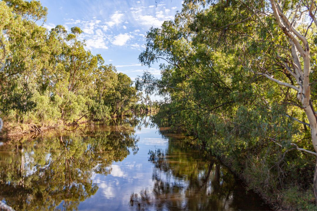 A picture of the Mehi River that is part of the Barwon catchment within the Murray–Darling basin